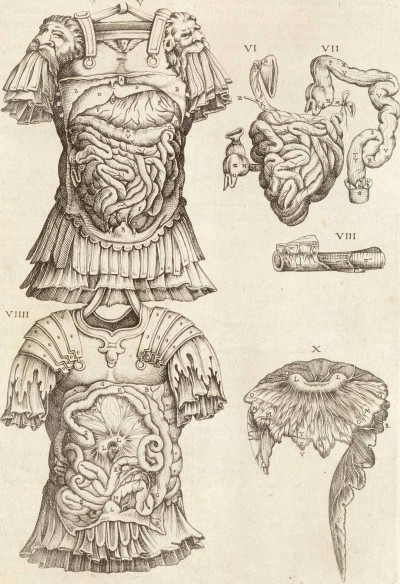 Anatomia del corpo humano... Rome, 1559. Copperplate engraving. National Library of Medicine. Juan Valverde de Amusco